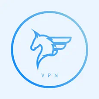 飞马加速器安卓